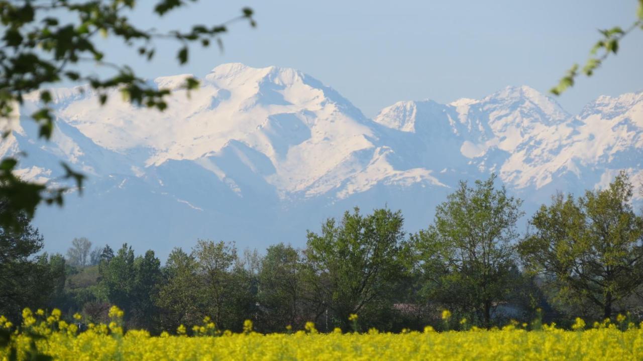Gîte La Tourasse Les Tournesols Lamasquere Extérieur photo